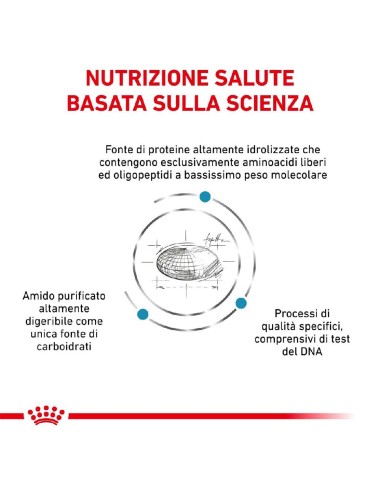 ROYAL CANIN ANALLERGENIC...