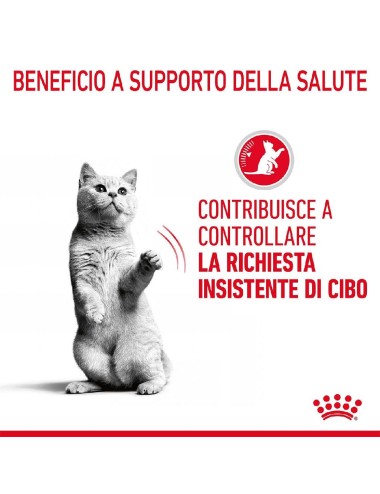 ROYAL CANIN CAT APPETITE...