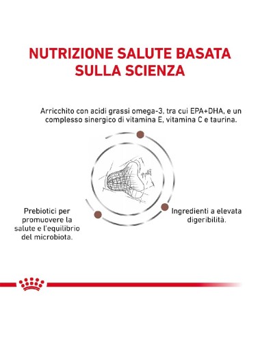 ROYAL CANIN CAT...