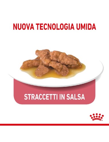 ROYAL CANIN CAT INDOOR...