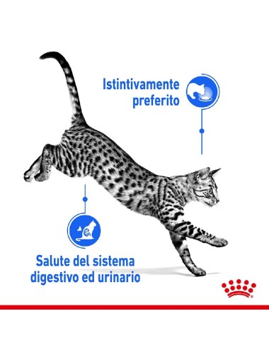ROYAL CANIN CAT INDOOR...