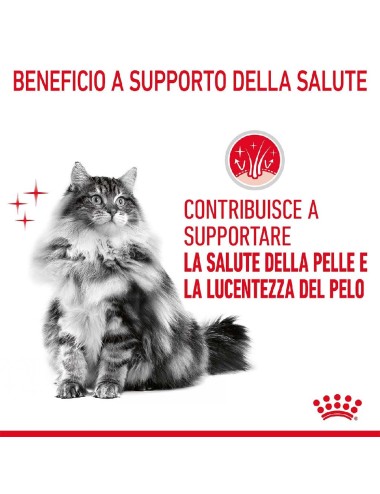 ROYAL CANIN CAT INTENSE...
