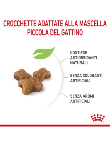 ROYAL CANIN CAT KITTEN Kg.1,2