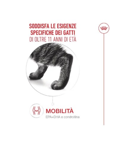 ROYAL CANIN CAT SENIOR...