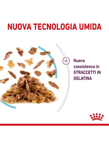 ROYAL CANIN CAT SENSORY...