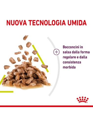 ROYAL CANIN CAT SENSORY...