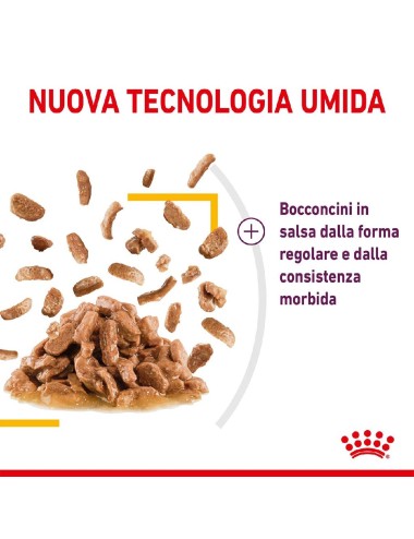 ROYAL CANIN CAT SENSORY...