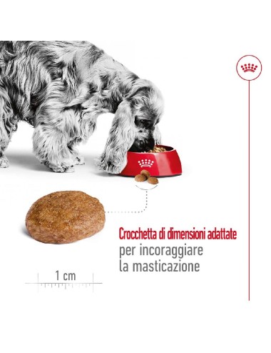 ROYAL CANIN DOG ADULT...