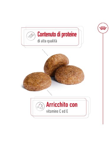 ROYAL CANIN DOG ADULT...