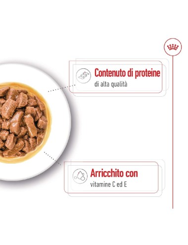 ROYAL CANIN DOG ADULT...