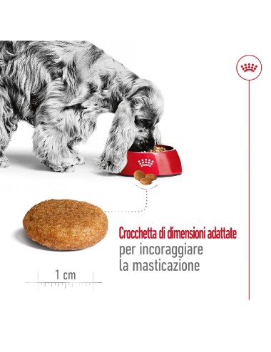 ROYAL CANIN DOG ADULT...