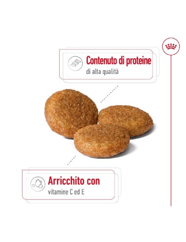 ROYAL CANIN DOG ADULT...
