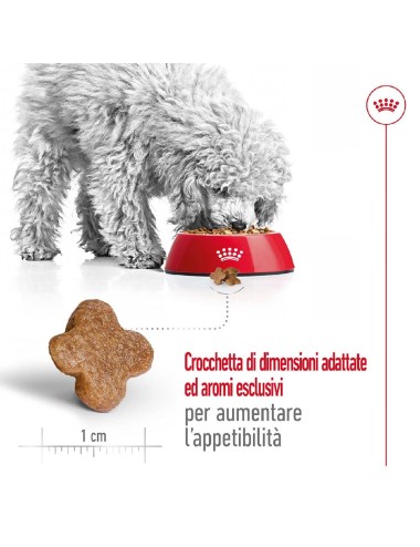 ROYAL CANIN DOG ADULT MINI...