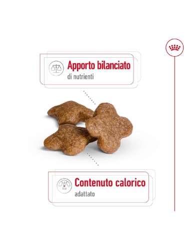 ROYAL CANIN DOG ADULT MINI...