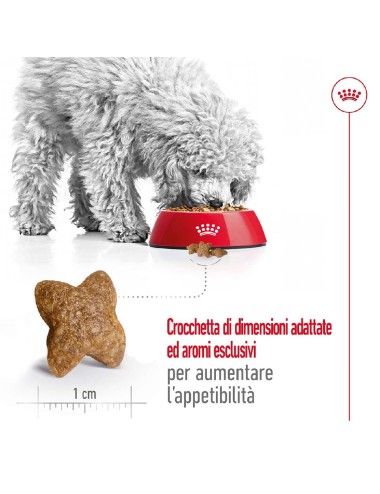 ROYAL CANIN DOG ADULT MINI...