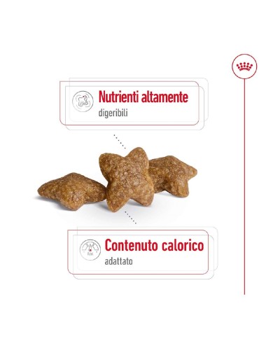 ROYAL CANIN DOG ADULT MINI...