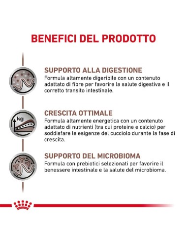 ROYAL CANIN DOG...