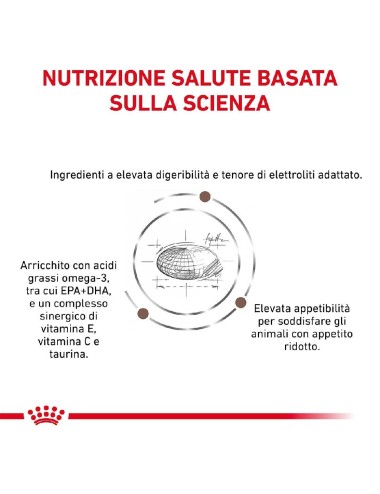 ROYAL CANIN DOG...