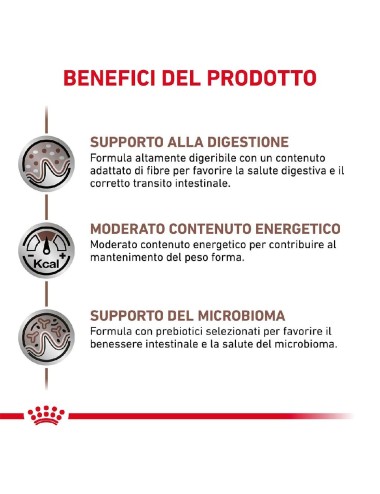 ROYAL CANIN DOG...