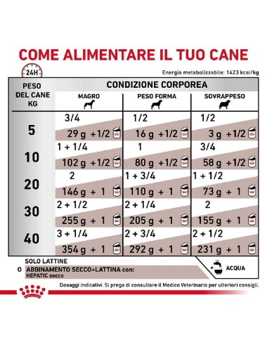 ROYAL CANIN DOG HEPATIC Gr.420