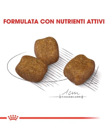 ROYAL CANIN DOG MINI...
