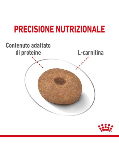 ROYAL CANIN DOG MINI ADULT...