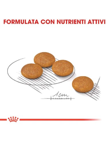 ROYAL CANIN DOG MINI...