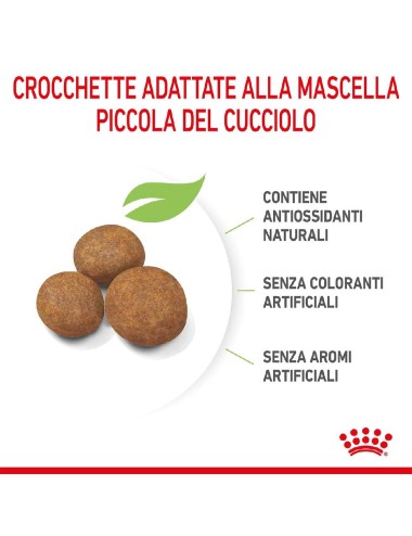 ROYAL CANIN DOG PUPPY MAXI...