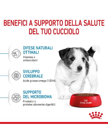 ROYAL CANIN DOG PUPPY MINI...