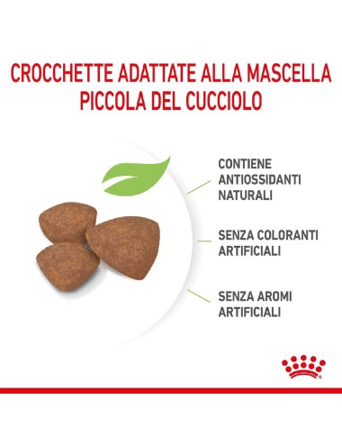 ROYAL CANIN DOG PUPPY MINI...