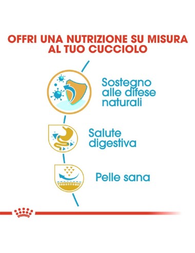 ROYAL CANIN PUPPY Kg.10 -...