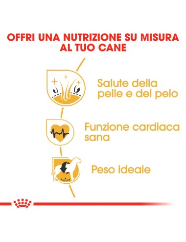 ROYAL CANIN ADULT Kg.12...